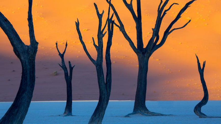 Фото природных аномалий, которые ввергают в шок