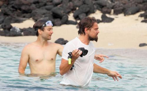 Неразлучные друзья: звездность дружбе не помеха?