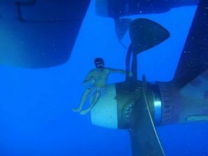 20 фото, которые обнаружат у вас талассофобию