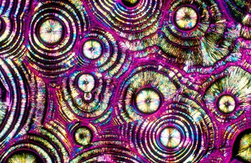 BevShots: абстракция в бокале