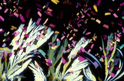 BevShots: абстракция в бокале