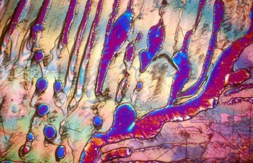 BevShots: абстракция в бокале