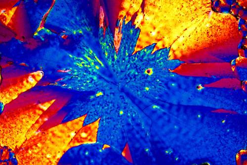 BevShots: абстракция в бокале