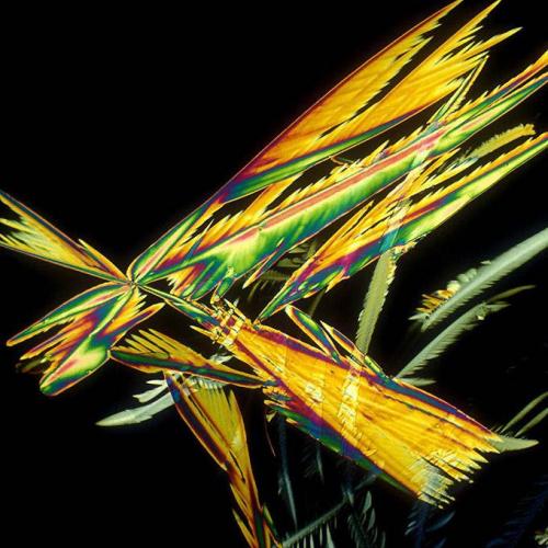 BevShots: абстракция в бокале