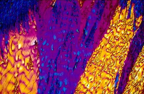 BevShots: абстракция в бокале