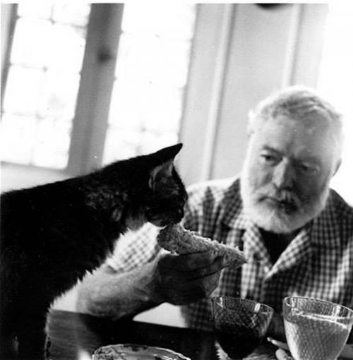 Знаменитые писатели и их коты