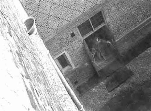 Самые известные в истории неподдельные фото призраков