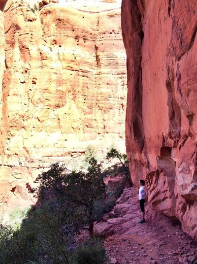 Последние фотографии звезд из Твиттеров