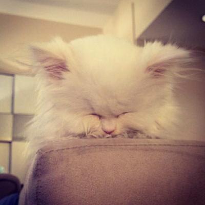 Последние фотографии звезд из Твиттеров