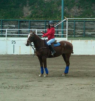Последние фотографии звезд из Твиттеров