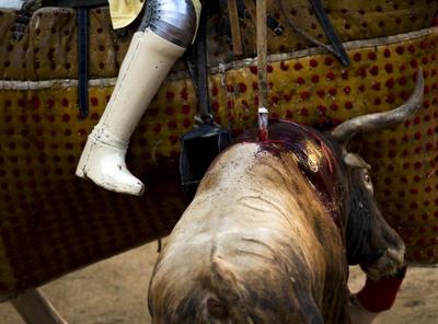 Последний сезон барселонской корриды