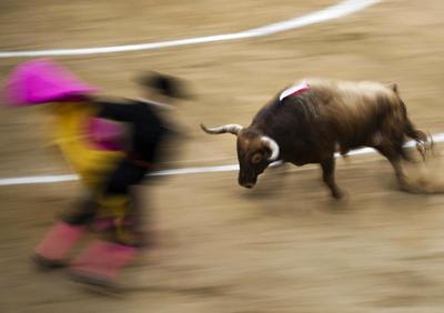 Последний сезон барселонской корриды