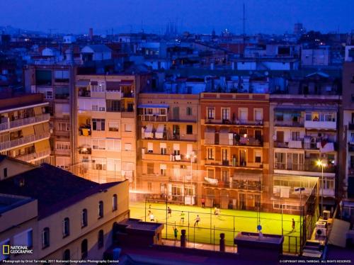 Лучшие фото "National Geographic"