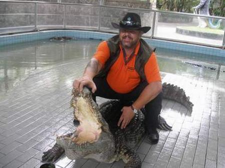 Дикие хищники в квартире: от любви до трагедии один шаг