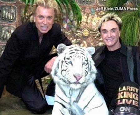 Дикие хищники в квартире: от любви до трагедии один шаг