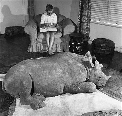 Дикие хищники в квартире: от любви до трагедии один шаг