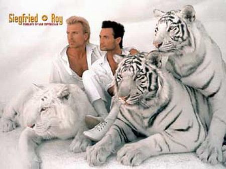 Дикие хищники в квартире: от любви до трагедии один шаг