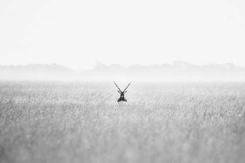 Работы с конкурса National Geographic Travel Photographer 2019