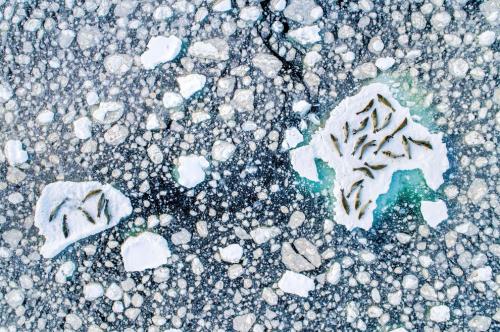 Работы с конкурса National Geographic Travel Photographer 2019