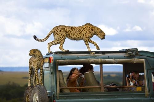 Лучшие фото о путешествиях от National Geographic