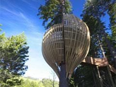 В Новой Зеландии открылся ресторан-гнездо