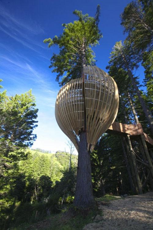 В Новой Зеландии открылся ресторан-гнездо