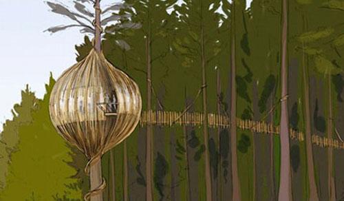 В Новой Зеландии открылся ресторан-гнездо