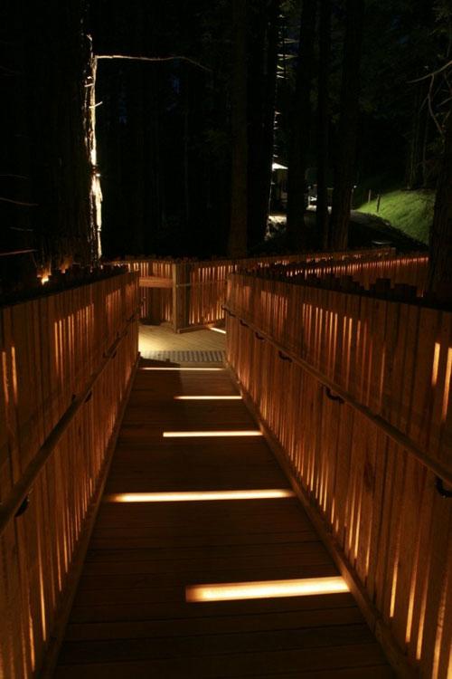 В Новой Зеландии открылся ресторан-гнездо