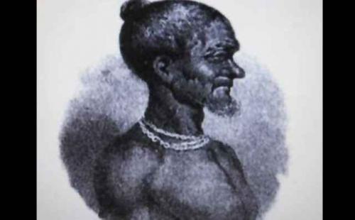 Части тела людей, жившие самостоятельной жизнью