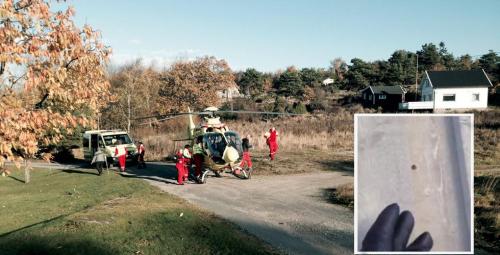 ТОП-20 самых курьезных преступлений 2013 года