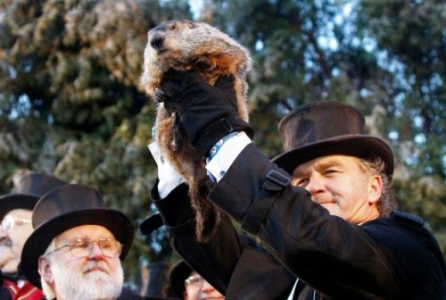 ТОП-20 самых курьезных преступлений 2013 года