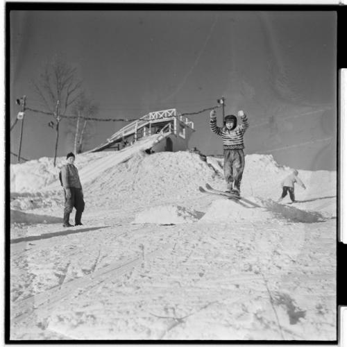 История и культура человечества в цифровых архивах