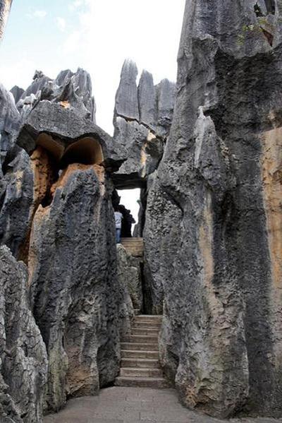 Удивительный каменный лес Шилинь