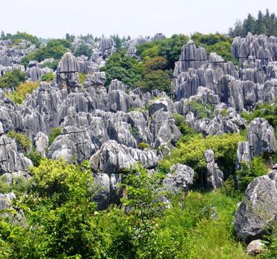 Удивительный каменный лес Шилинь