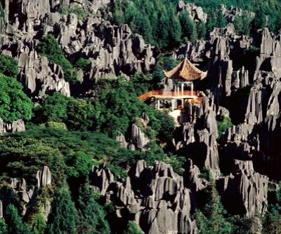 Удивительный каменный лес Шилинь