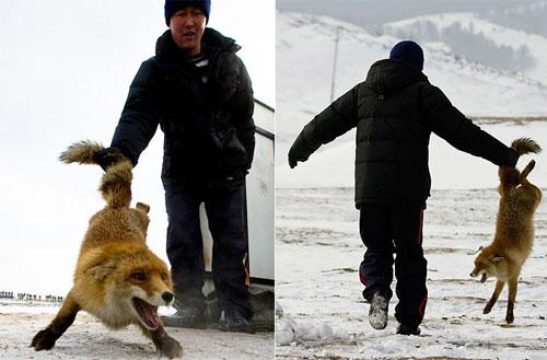 Хищные птицы вышли на охоту