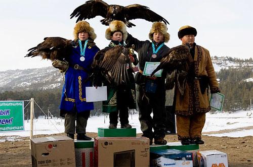 Хищные птицы вышли на охоту