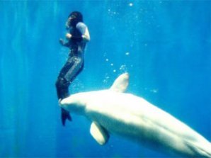 Белуха вытащила ныряльщицу из воды