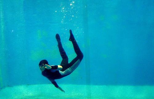 Белуха вытащила ныряльщицу из воды