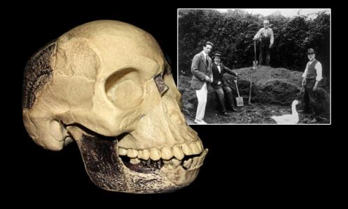 Удивительные мистификации в истории