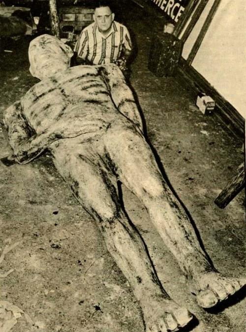 Удивительные мистификации в истории