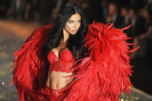 Самые высокооплачиваемые модели мира — 2014