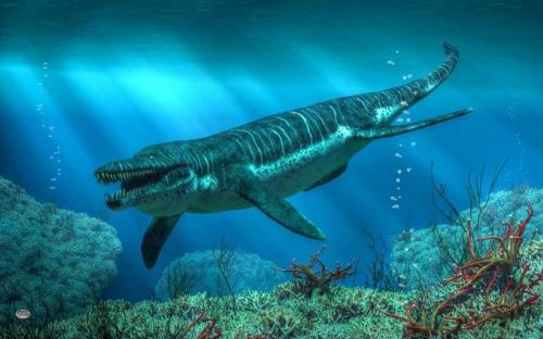 15 самых гигантских животных, когда-либо населявших нашу планету