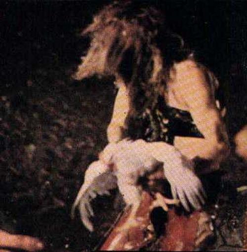 Самые шокирующие выходки звезд на сцене во время выступления