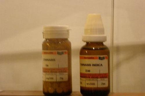 Музей канабиса пополнил экспозицию