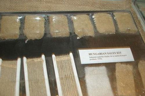 Музей канабиса пополнил экспозицию