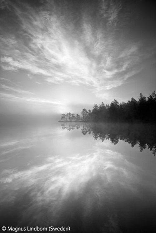 Волк в прыжке "ухватил" фотопремию Wildlife Photographer 2009