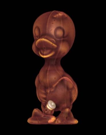 Студент-медик открывает мир через рентгеновские снимки