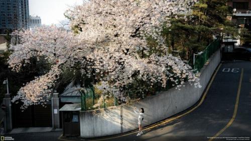 26 лучших фото с конкурса National Geographic 2019 Travel Photo Contest