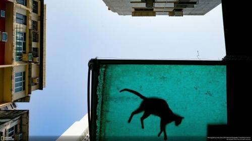 26 лучших фото с конкурса National Geographic 2019 Travel Photo Contest